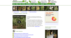 Desktop Screenshot of maniadeamazonia.com.br